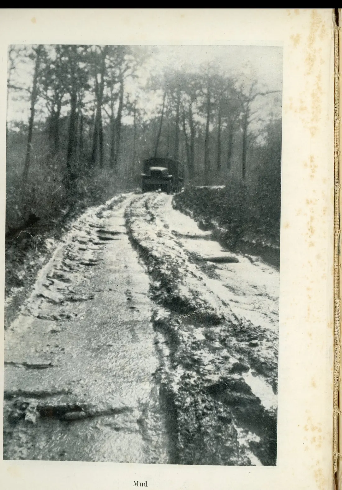 A deeply rutted, muddy forest track